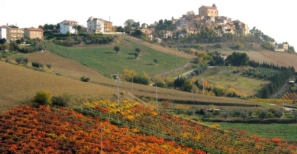 Gli Orti Di San Giacomo Bed and Breakfast Monteprandone Esterno foto